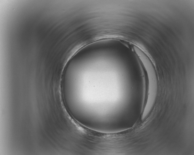 X0000063530906200602032133