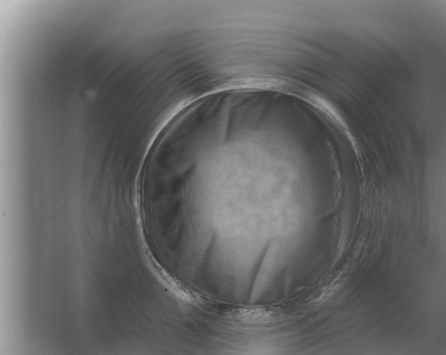 X0000063530907200602032133