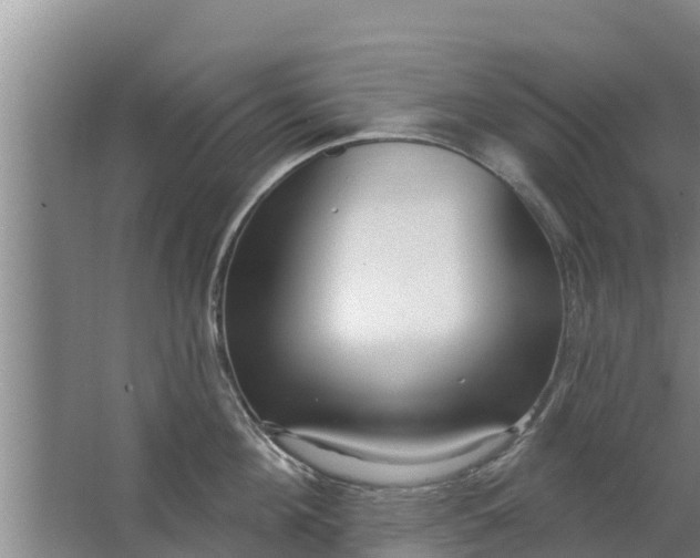 X0000063530908200602032133