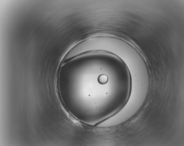 X0000063530909200602032133