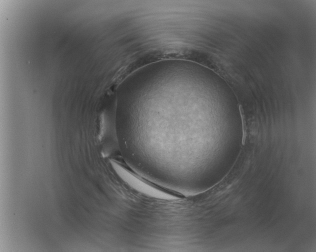 X0000063530916200602032132