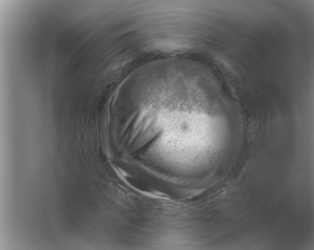 X0000063530917200602032132