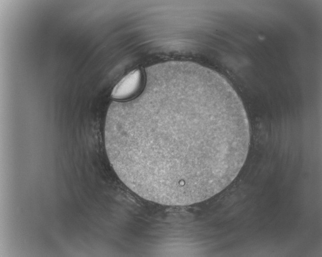 X0000063530918200602032132