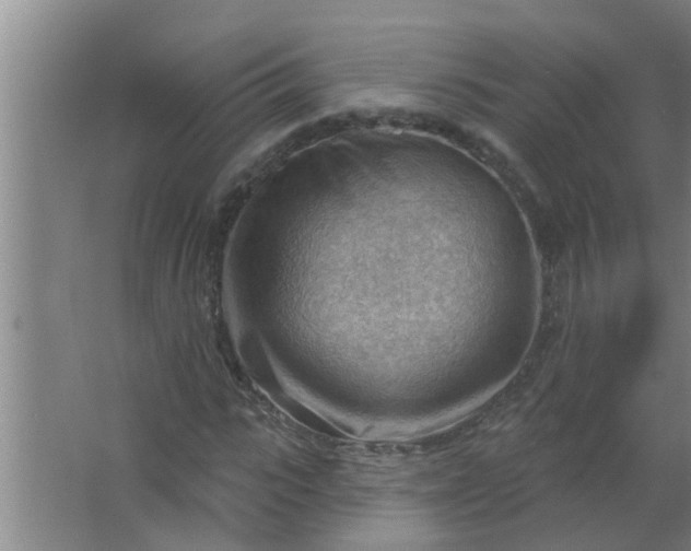 X0000063530919200602032132