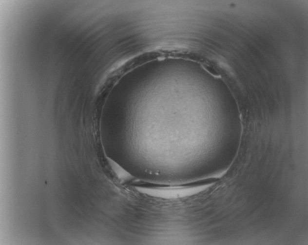 X0000063530920200602032132