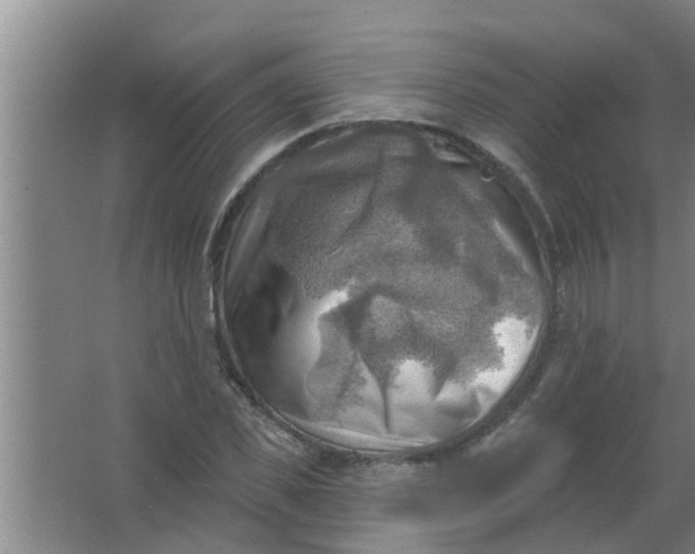 X0000063530925200602032132