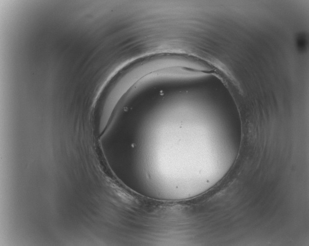 X0000063530926200602032132