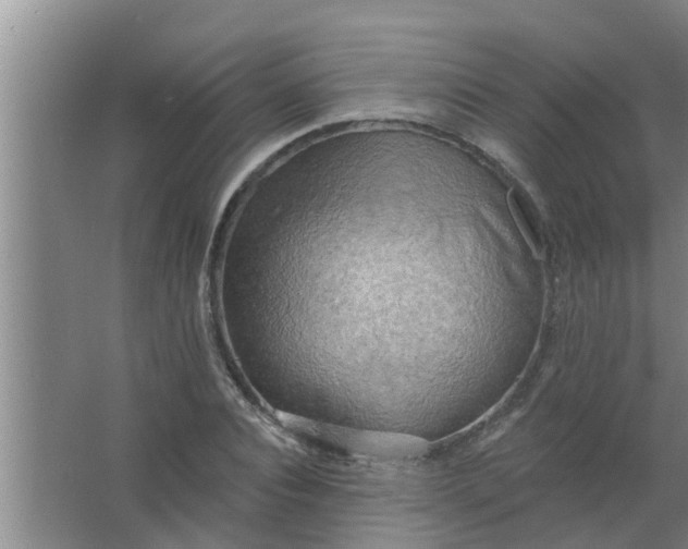 X0000063530928200602032132