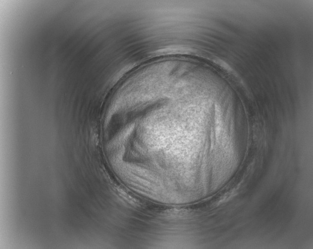 X0000063530929200602032132