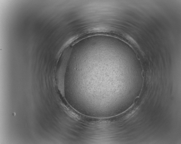 X0000063530930200602032132