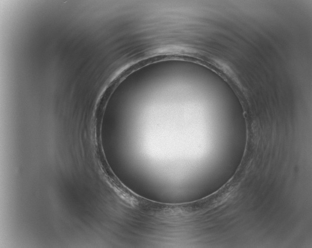 X0000063530931200602032132