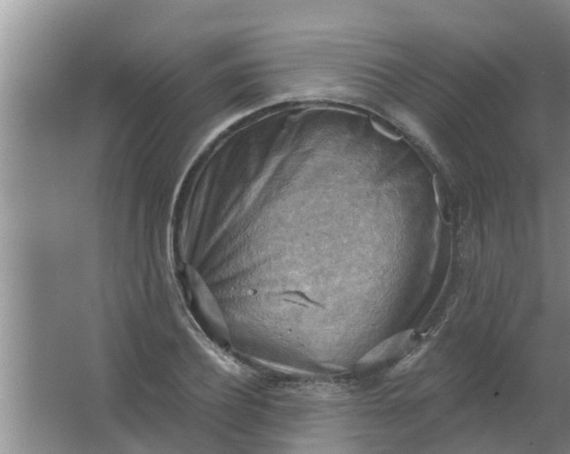 X0000063530932200602032132