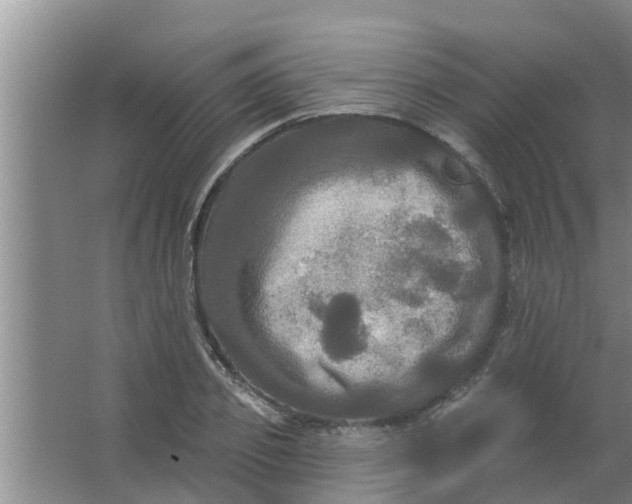 X0000063530933200602032132