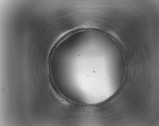 X0000063530934200602032132