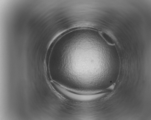 X0000063530936200602032132