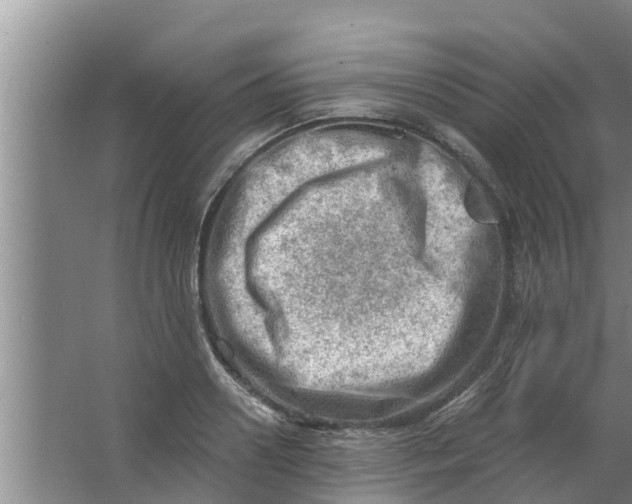 X0000063530938200602032132