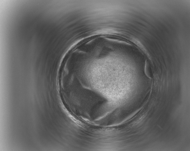 X0000063530939200602032132