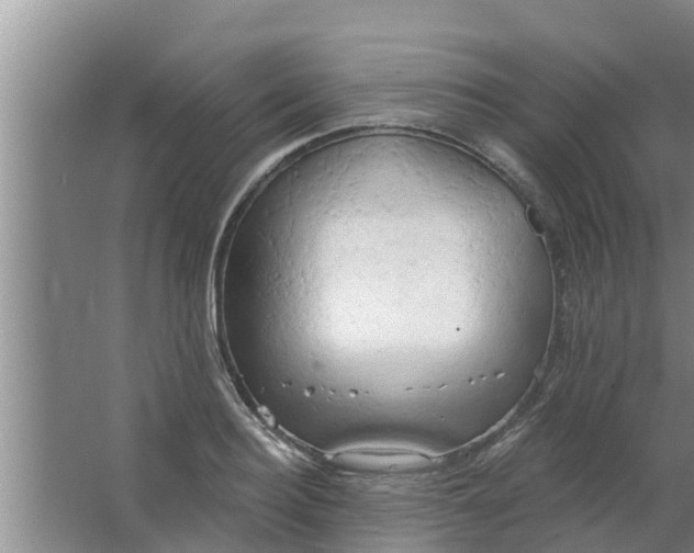 X0000063530940200602032132