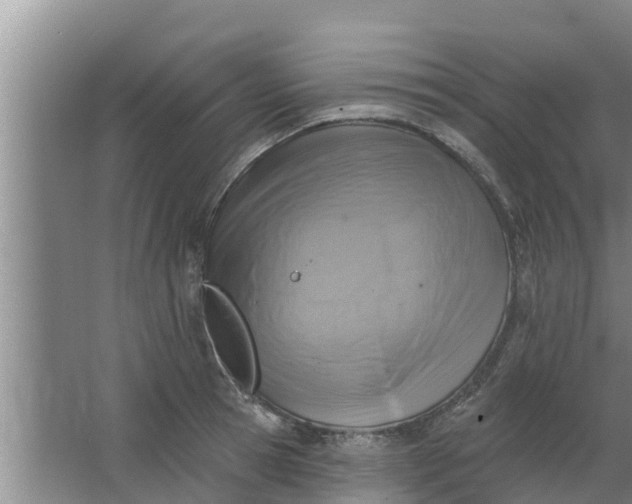 X0000063530945200602032132