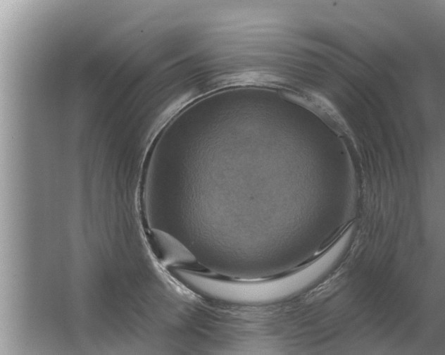 X0000063530946200602032132