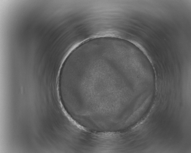 X0000063530949200602032132