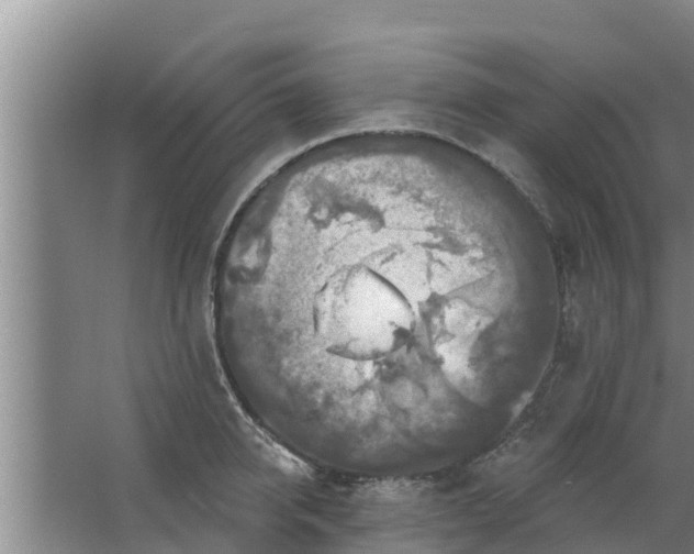 X0000063530950200602032132