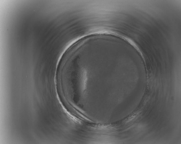 X0000063530951200602032133