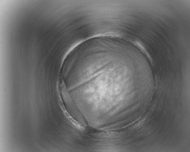 X0000063530952200602032133