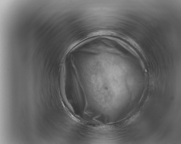 X0000063530953200602032133