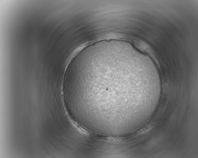 X0000063530954200602032133