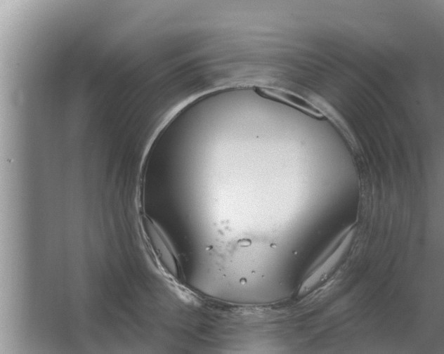 X0000063530956200602032133