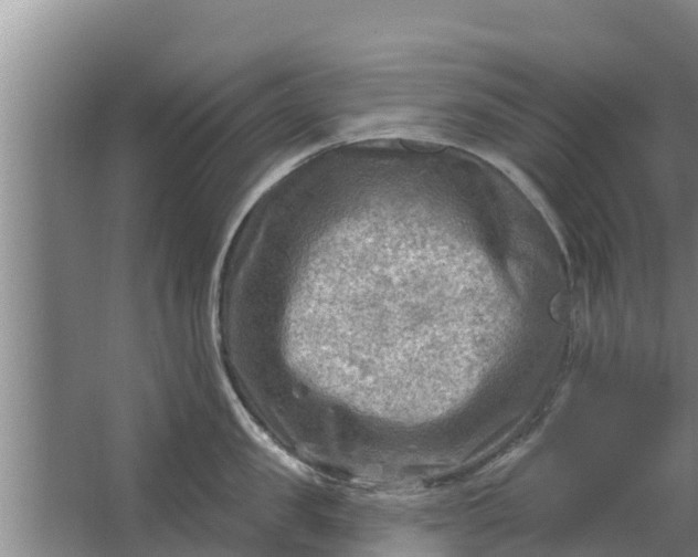 X0000063530957200602032133