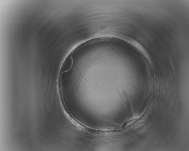 X0000063530958200602032133