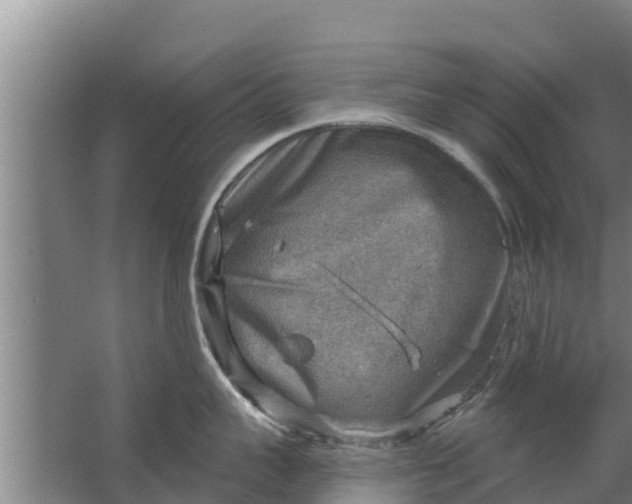 X0000063530959200602032133