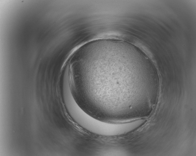 X0000063530960200602032133