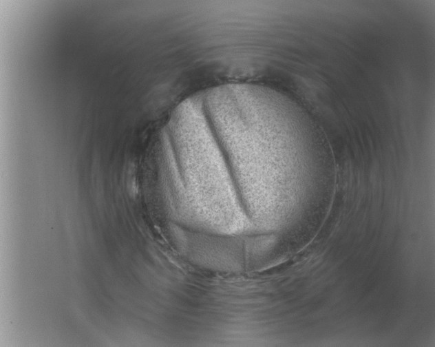 X0000063530962200602032132