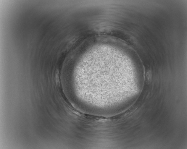 X0000063530963200602032132