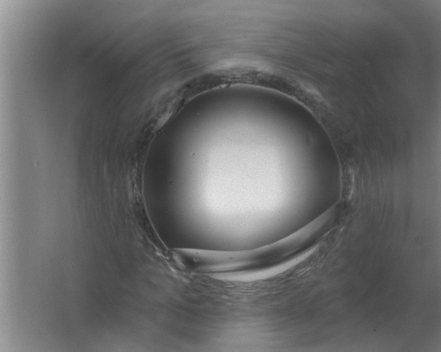 X0000063530965200602032132