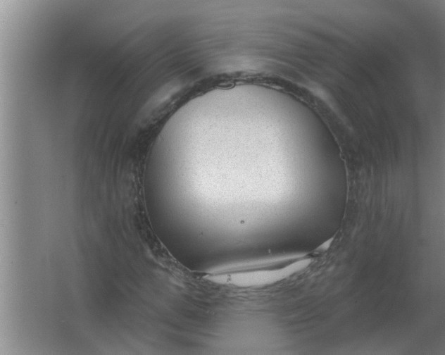 X0000063530967200602032132