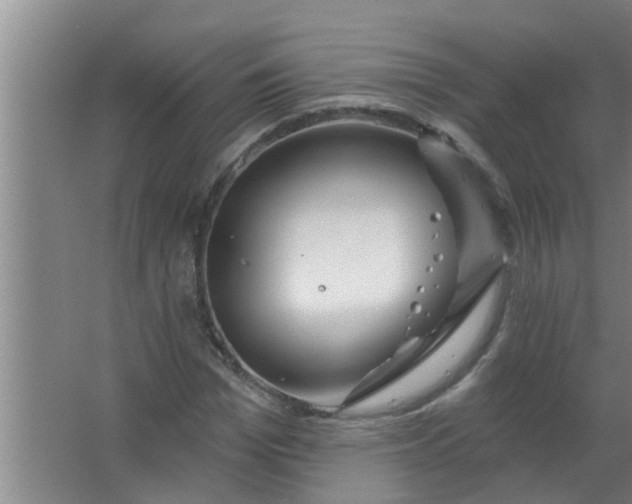 X0000063530969200602032132