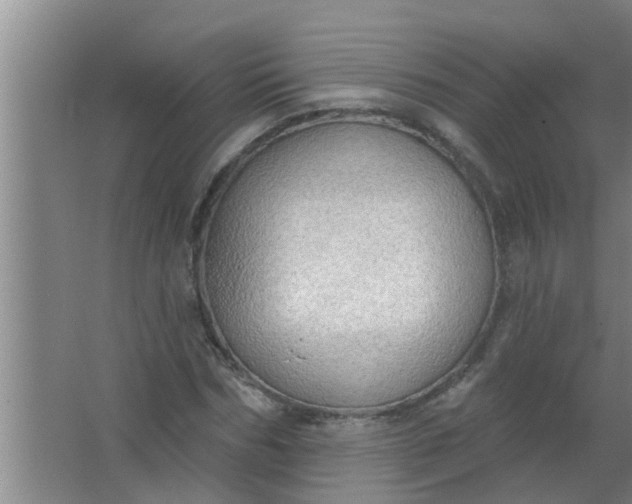 X0000063530970200602032132