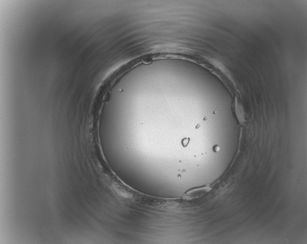 X0000063530971200602032132