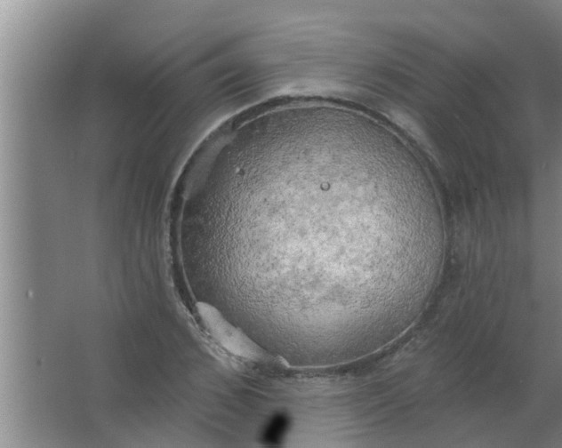 X0000063530976200602032132