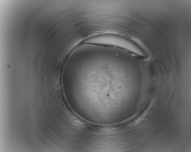 X0000063530977200602032132