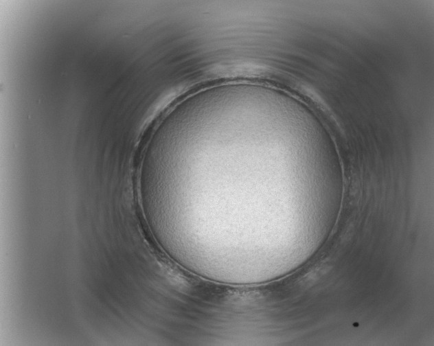 X0000063530978200602032132