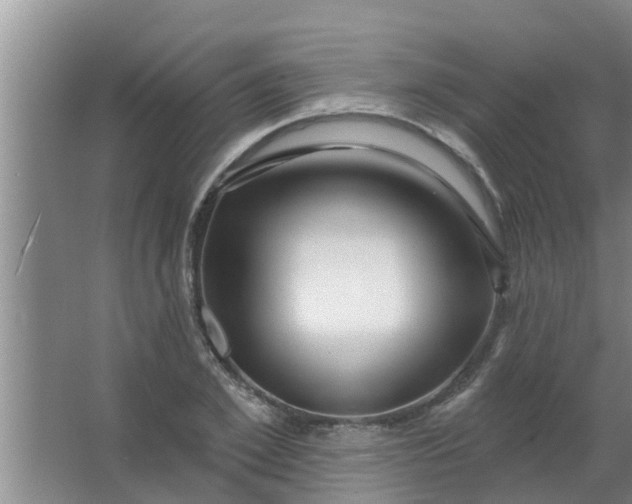 X0000063530981200602032132