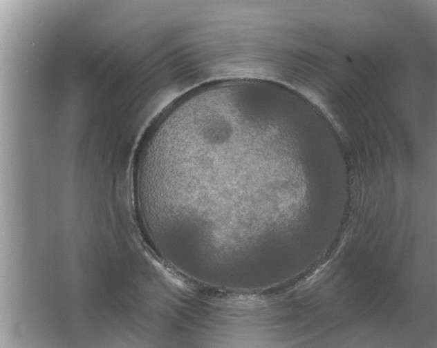 X0000063530982200602032132