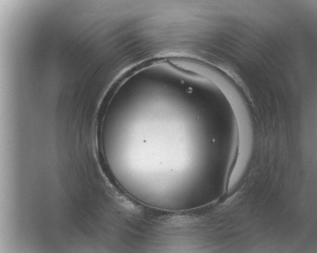 X0000063530984200602032131