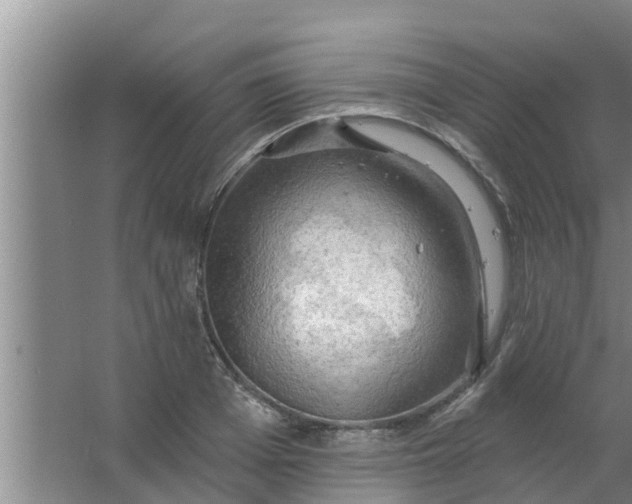 X0000063530985200602032131