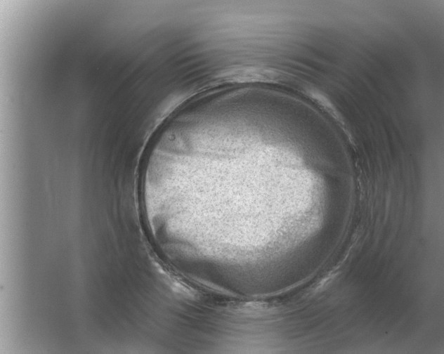 X0000063530986200602032131